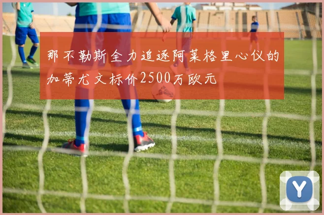 那不勒斯全力追逐阿莱格里心仪的加蒂尤文标价2500万欧元