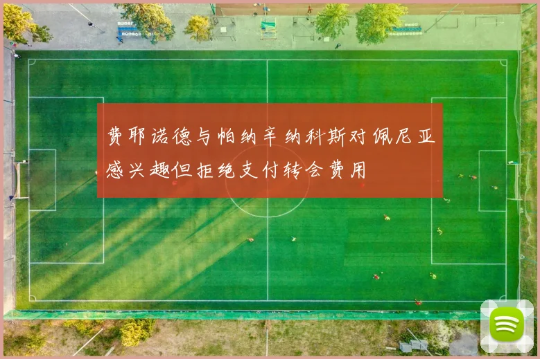 费耶诺德与帕纳辛纳科斯对佩尼亚感兴趣但拒绝支付转会费用